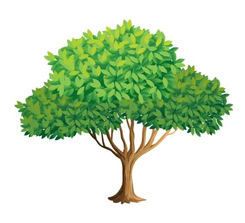 co2